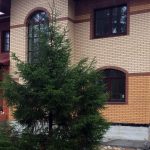 Лиственничные окна | Матокса