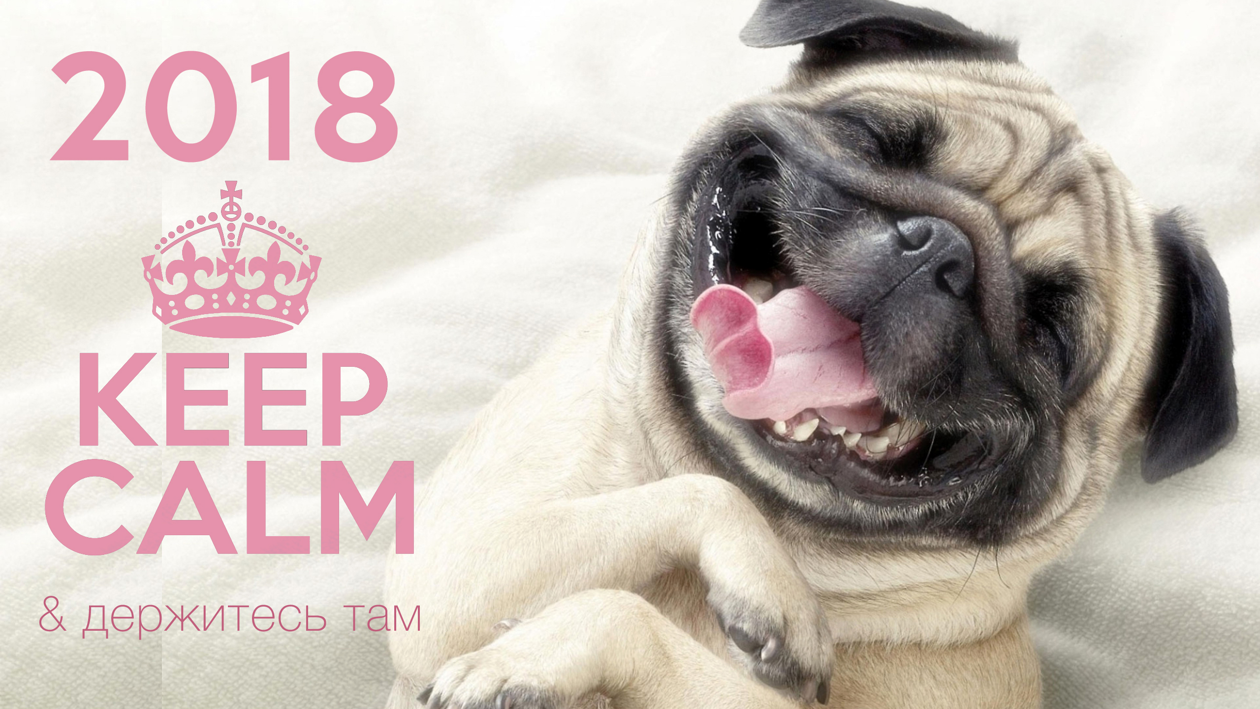 С Новым 2018 годом!